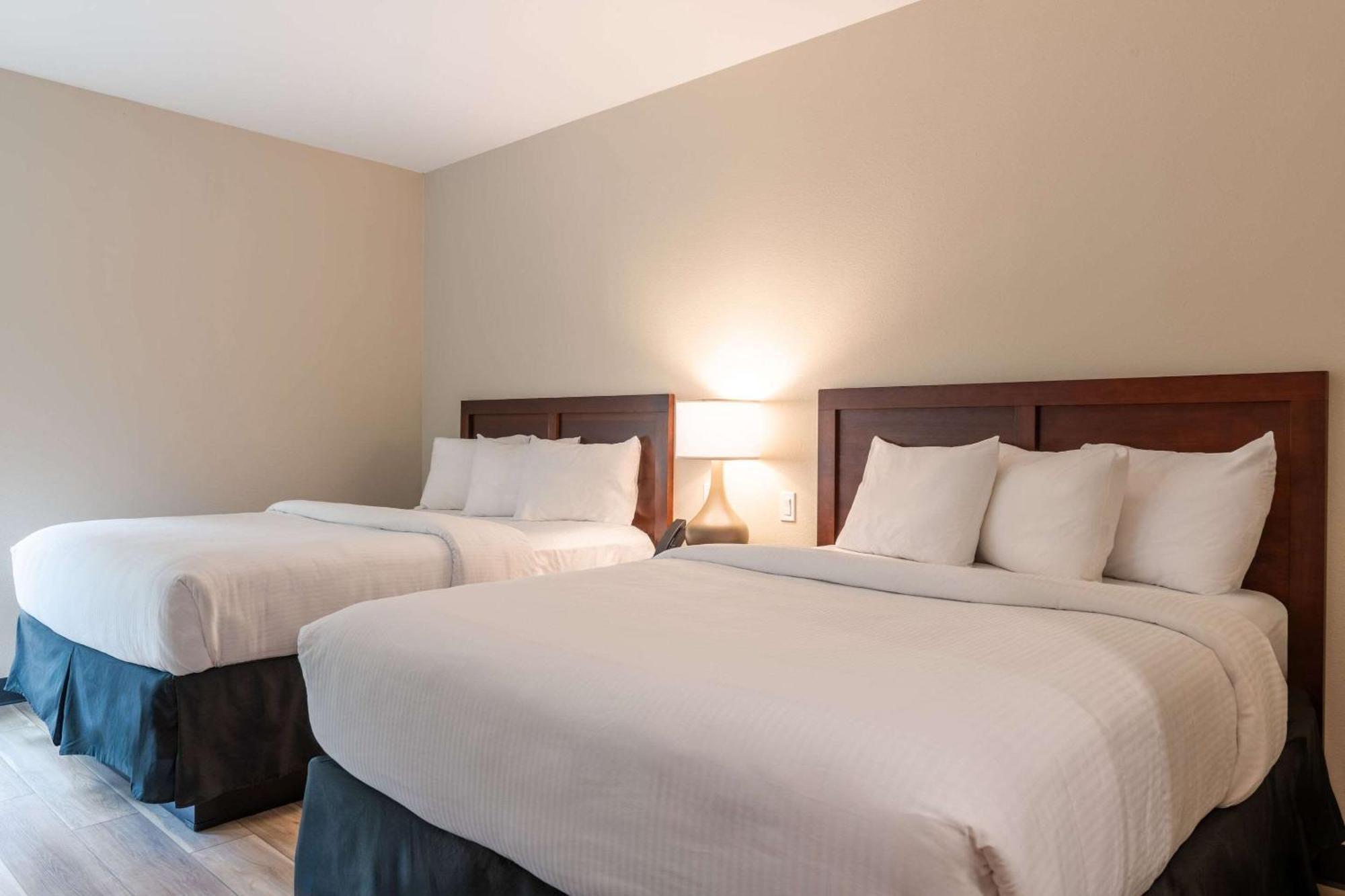 The Chandler At White Mountains, An Ascend Hotel Collection Membe Bethlehem Eksteriør billede